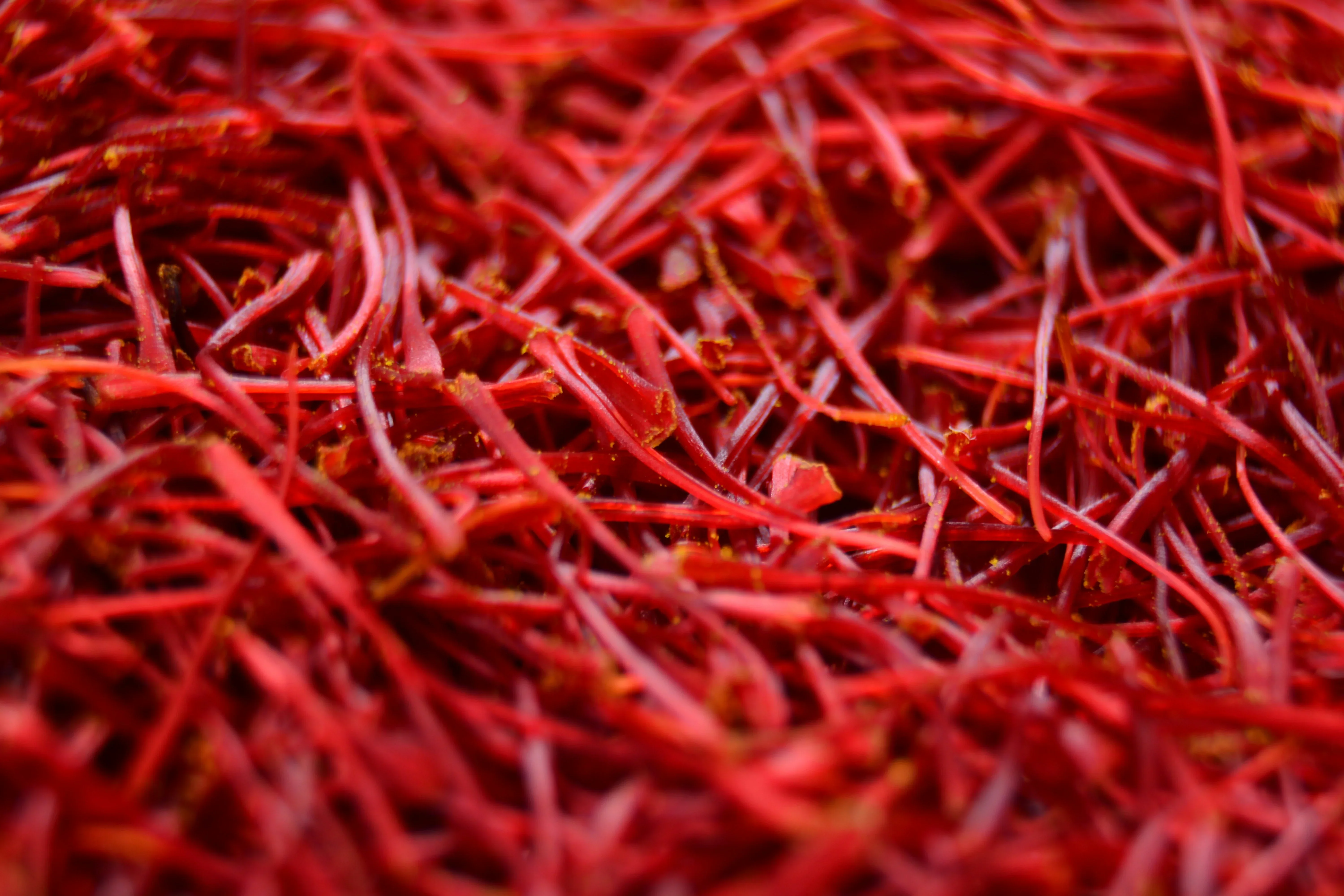1 Gram Heray Saffron Premium Afghan Super Negin Saffron: The Gold of Herat - Image 11