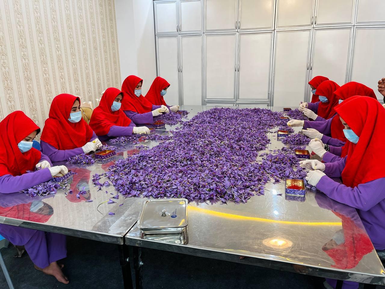 1 Oz (28.5gr) Heray Saffron, Afghani Superior Negin Quality - Image 8