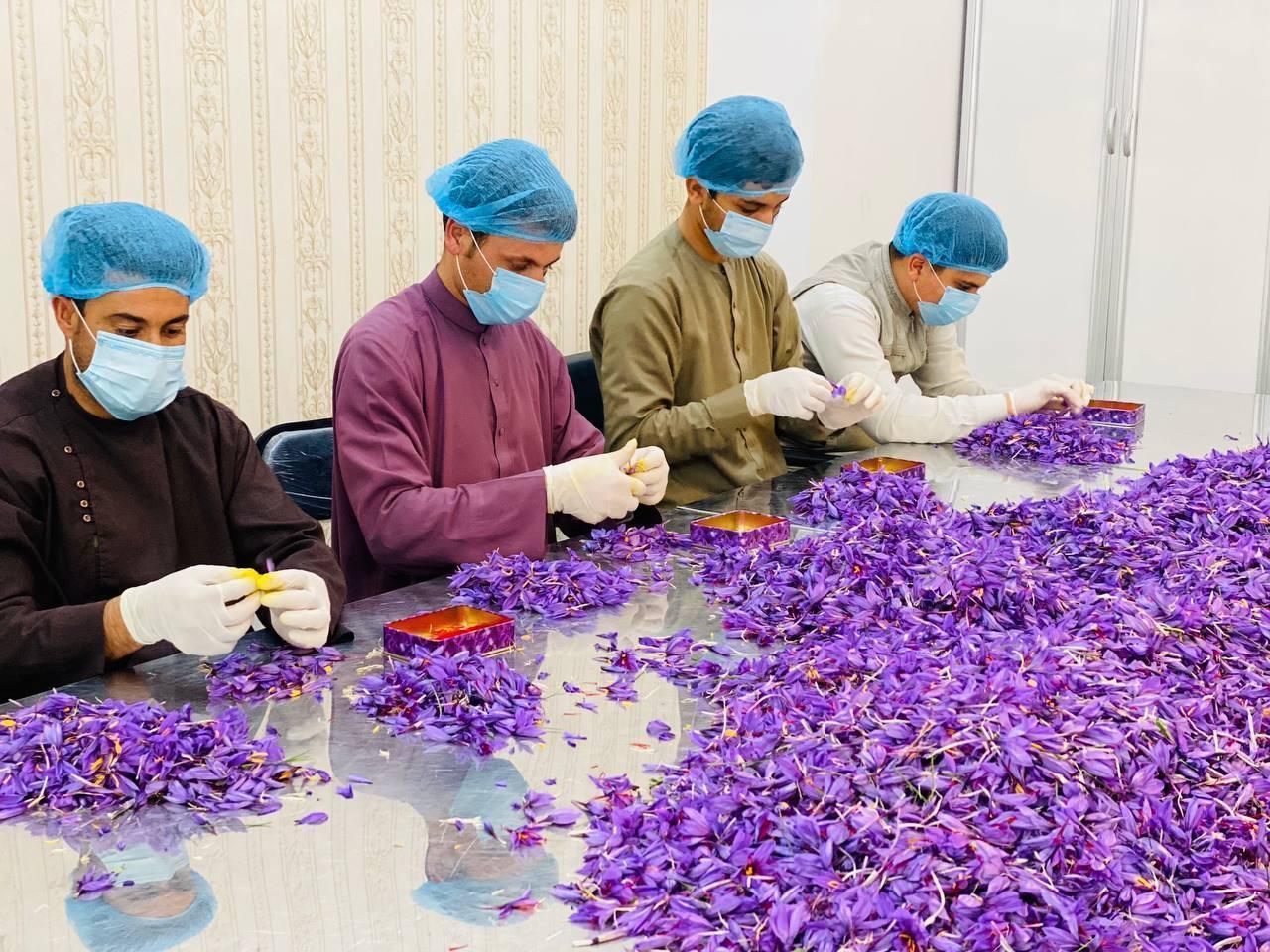 1 Oz (28.5gr) Heray Saffron, Afghani Superior Negin Quality - Image 9