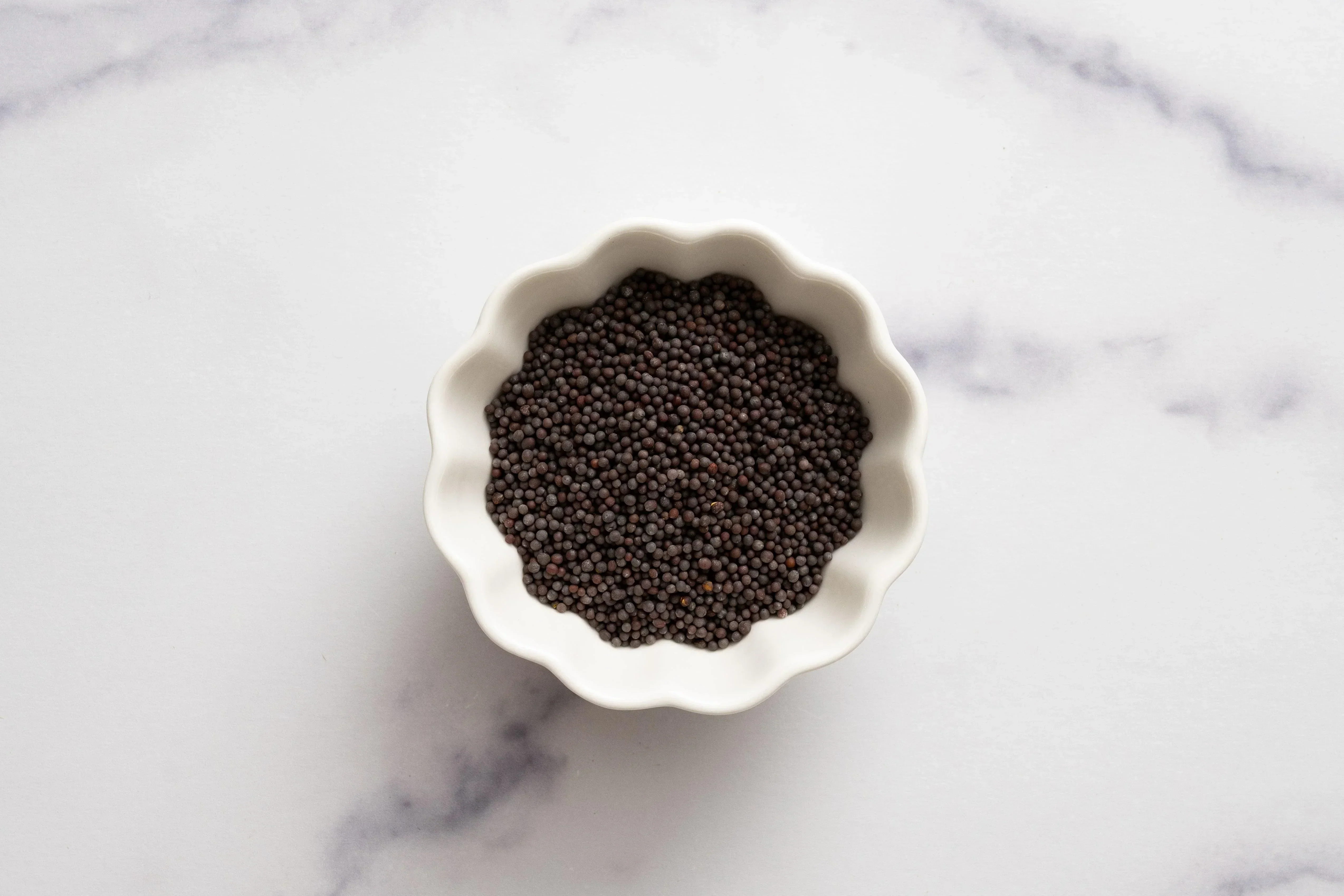 Essentials Bundle (Saffron, Sumac, Black Mustard & Wild Cumin) + FREE SHIPPING - Image 6